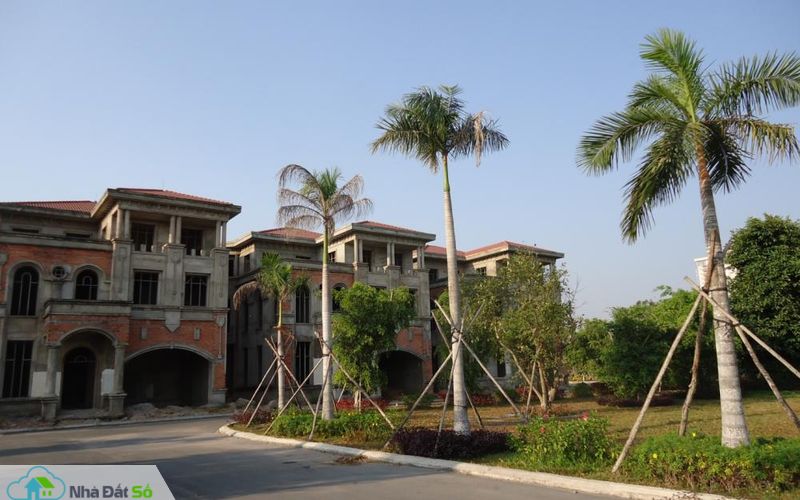 biệt thự hoang