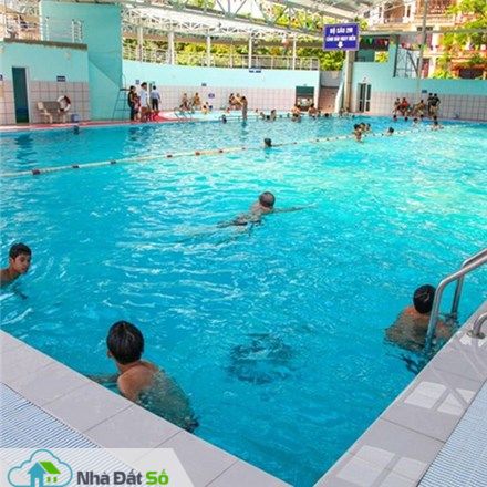 xây 10 bể bơi