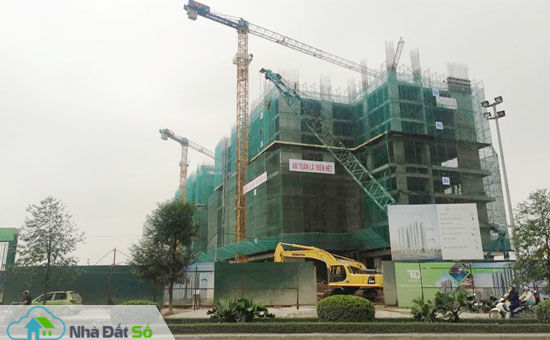 loạn quảng cáo dự án