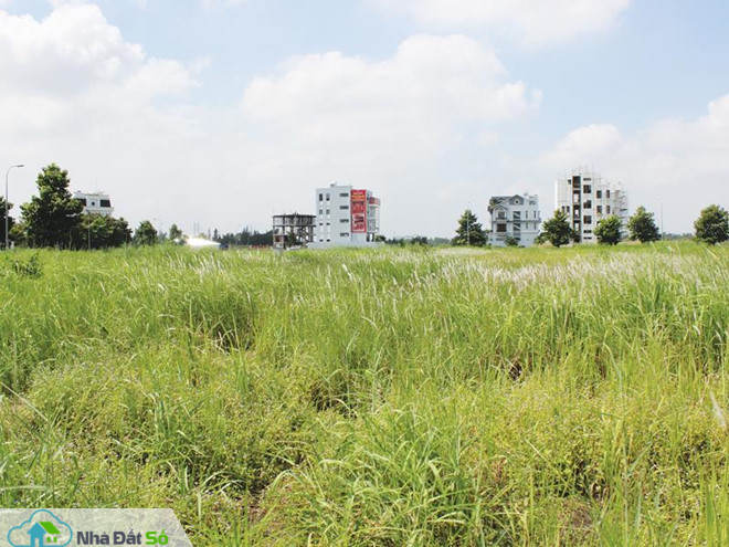 dự án chết