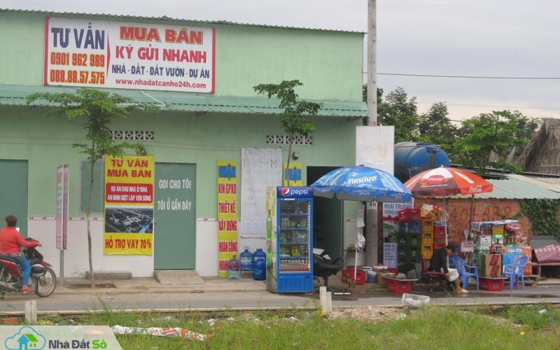 cò đất nghiệp dư