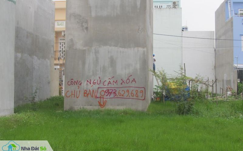 cò đất nghiệp dư