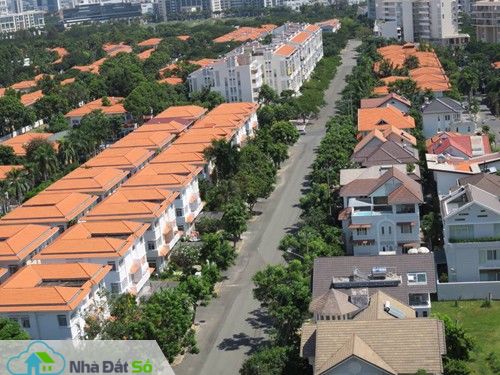 Cò bất động sản 