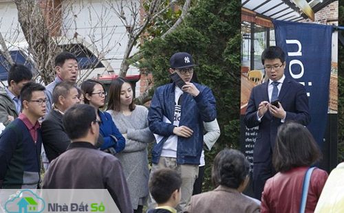 đấu giá mua nhà tại Australia
