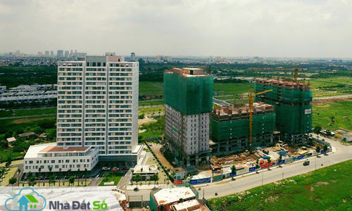 tăng giá chung cư giá rẻ