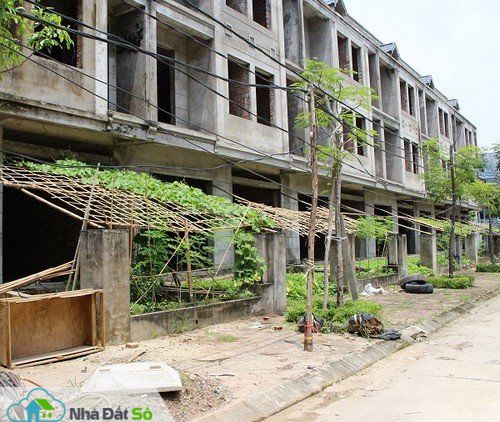 Biệt thự triệu đô để trồng rau