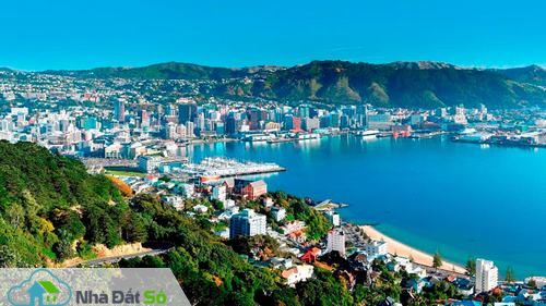 Ngành xây dựng New Zealand