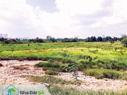 Siêu dự án 154ha Bình Trưng Đông - Cát Lái 