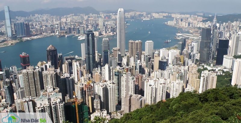 Người giàu có ở Hong Kong tìm cách tránh thuế bất động sản 