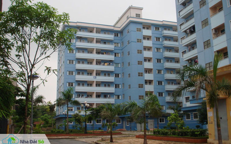 Nhà thu nhập thấp: Sức nóng từ nhu cầu