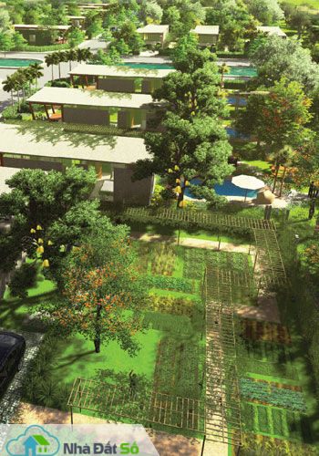 nông trại mini giá rẻ 