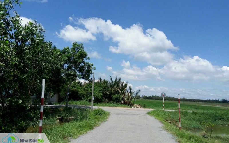 nhà đầu tư săn đất vườn giá rẻ