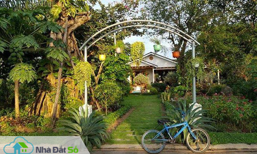 Bí kiếp đầu tư đất vườn ngoại ô Hà Nội
