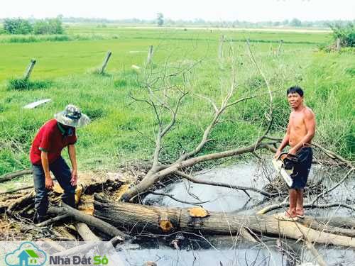 Đât vùng ven tăng mạnh