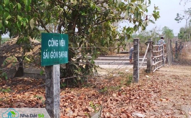 dự án chậm triển khai