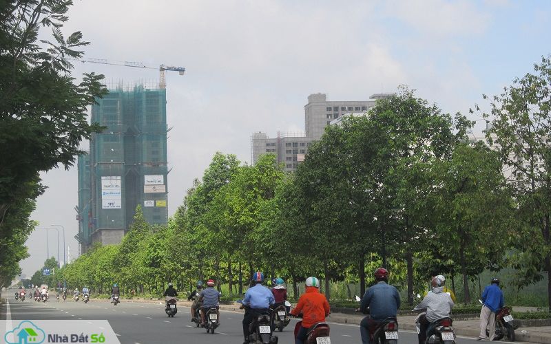 căn hộ diện tích lớn
