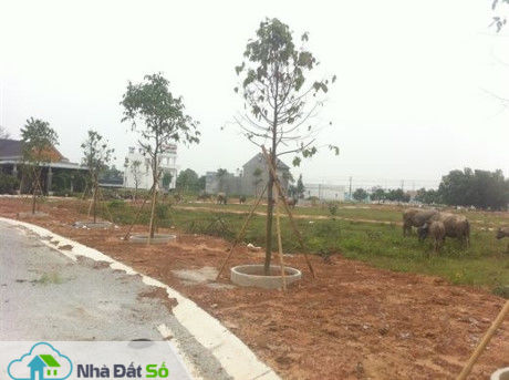 bất động sản Bình Dương