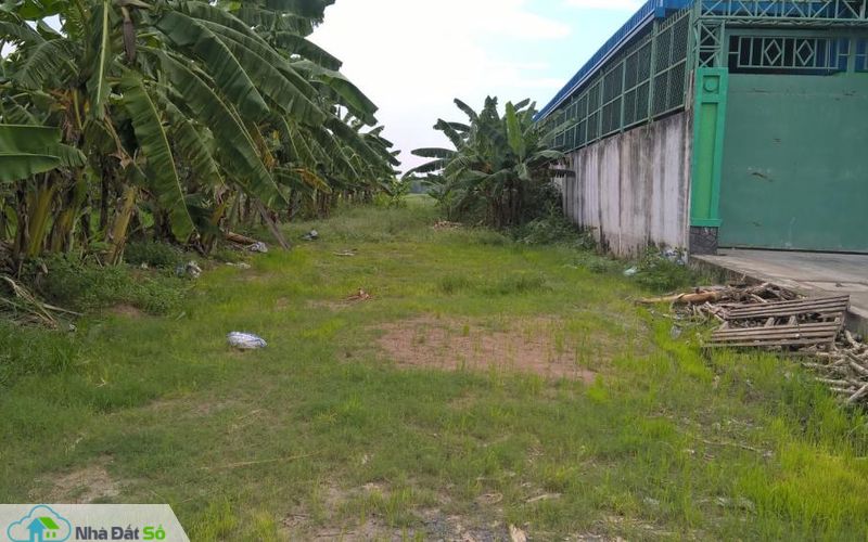 rục rịch sang nhượng đất thổ cư
