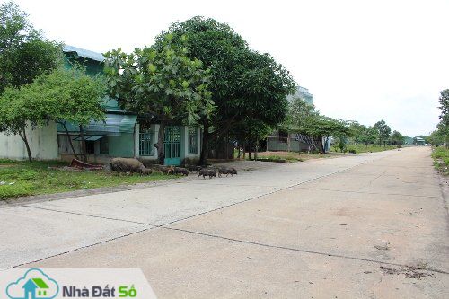 Thị trường BĐS Bình Dương