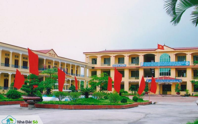 dự án trường học