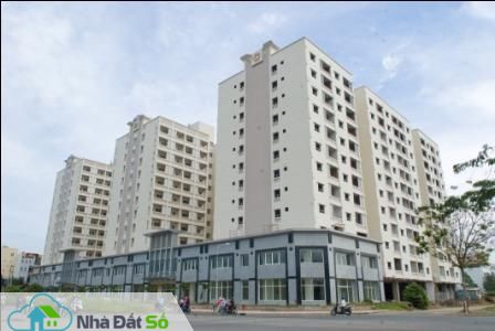 nguồn cung căn hộ cuối năm