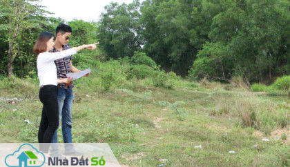 sốt đất nền