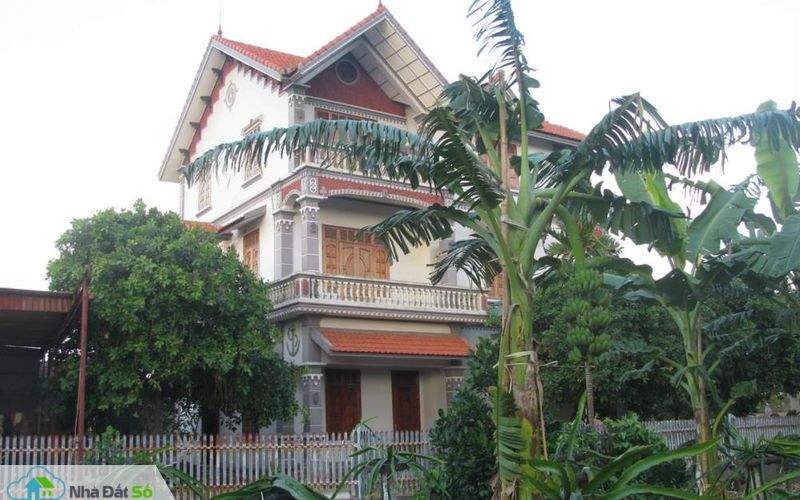 săn đất vùng ven xây biệt thự