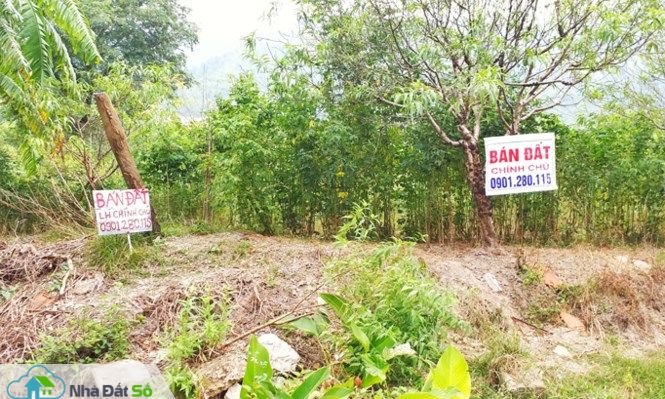 bán đất tại Vân Đồn