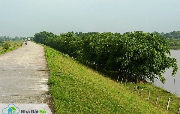 ha noi muon day de ra sat bo song hong mo rong noi do