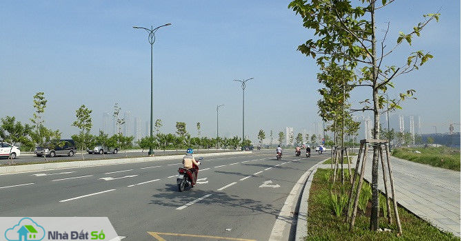 đấu giá đất