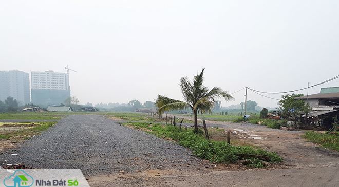 phân lô bán nền 