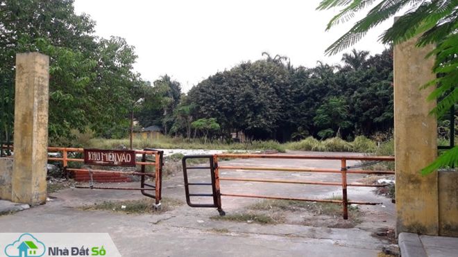 Xóa sổ dự án Công viên Rồng Biển sau hơn 10 năm “đắp chiếu”