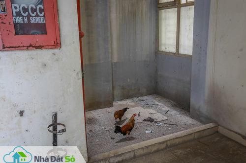 khu tái định cư xuống cấp
