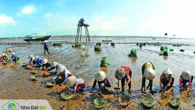 khu kinh tế Thái Bình