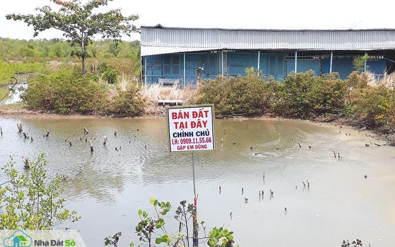 Bất động sản TP.HCM: Cảnh giác với sốt đất ở Cần Giờ