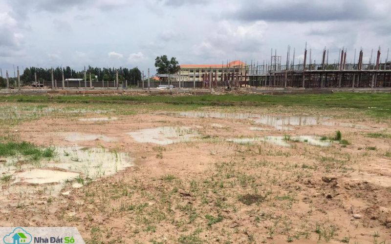 nhà đầu tư găm đất