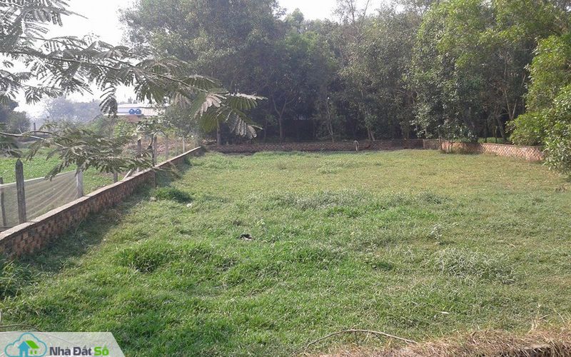TTBĐS tháng 1/2018: Giao dịch tăng nhiệt dịp cận Tết