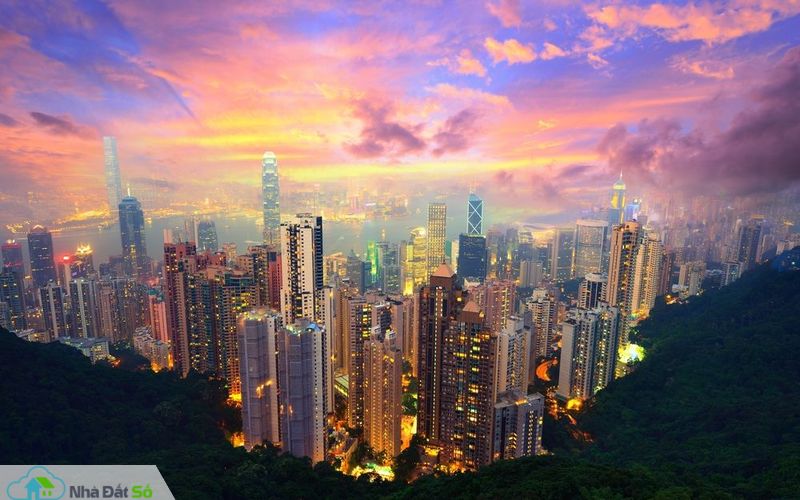 Doanh nghiệp BĐS Hồng Kông bán đất dự án thu lời sớm  Chủ đầu tư BĐS Hồng Kông bán đất dự án thu lời sớm