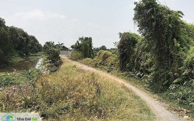 giá đất Củ Chi