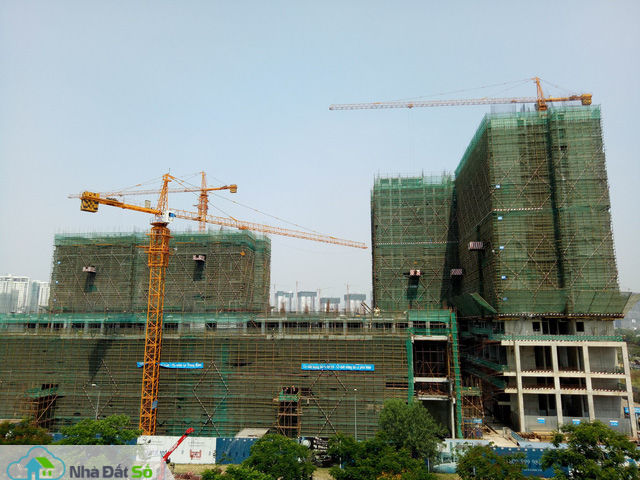 sốt giá căn hộ