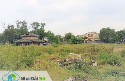 Di dời nghĩa trang Bình Hưng Hòa