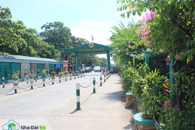 sốt đất nền