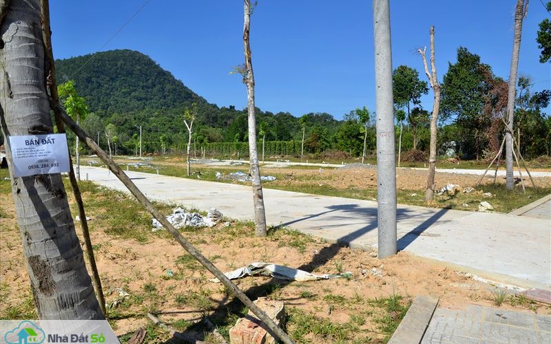 rao bán đất trên cây