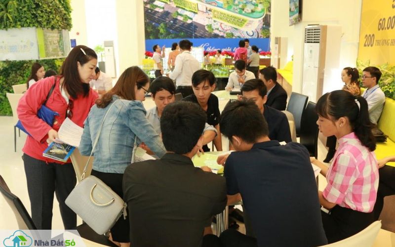 thị trường căn hộ