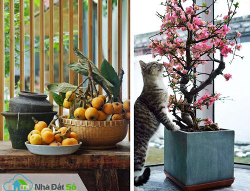 Mọi thứ đều đơn giản nhưng khi nhìn vào ai cũng thấy ấn tượng.