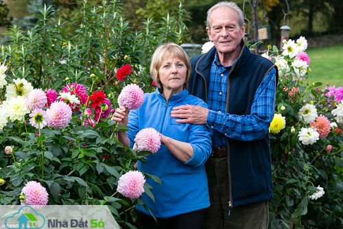 Họ trồng hoa để thu hút các loài ong bướm, chim chóc và mang sắc màu đến nơi này. Nhưng mới đây hội đồng thành phố Sheffield gửi đến họ một bức thư nói rằng cặp vợ chồng chỉ có một tuần để loại bỏ những luống hoa, hoặc trả tiền để cơ quan chức năng đến phá chúng.