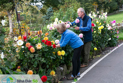 Hiện tại hai bên đã đi đến thoả thuận, sẽ dọn những thùng ủ phân hai bên đường, còn các luống hoa vẫn giữ lại. Vợ chồng ông Brian bắt đầu trồng luống hoa quanh đây được 5 năm, chi phí bỏ ra khoảng 1.000 bảng Anh.