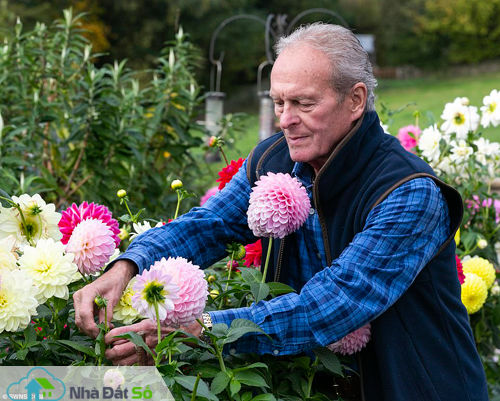 Elizabeth Williams, con gái của đôi vợ chồng cho biết rất sốc trước bức sự việc. Vườn hoa là điều duy nhất giúp cha cô vượt qua bệnh tật tuổi già.