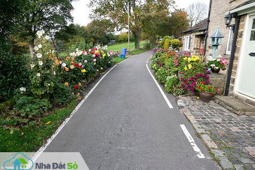 Cặp vợ chồng Brian và Sally Williams đã chăm sóc những luống hoa hai bên đường trước nhà mình ở một con đường nhỏ thuộc thành phố Sheffiled (Nam Yorkshire), 28 năm qua.