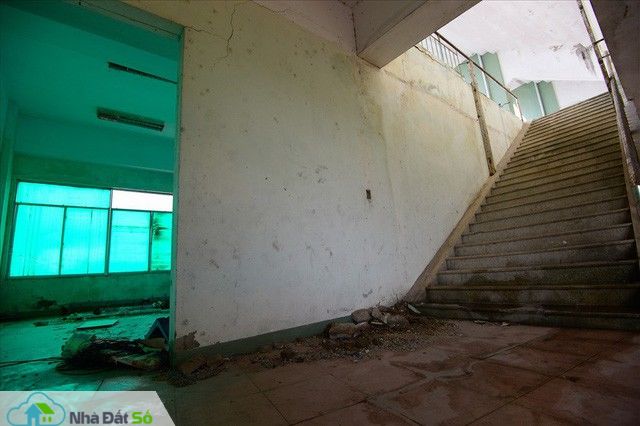  Sân vận động Chi Lăng hoang tàn sau gần 8 năm bán cho doanh nghiệp - Ảnh 5.